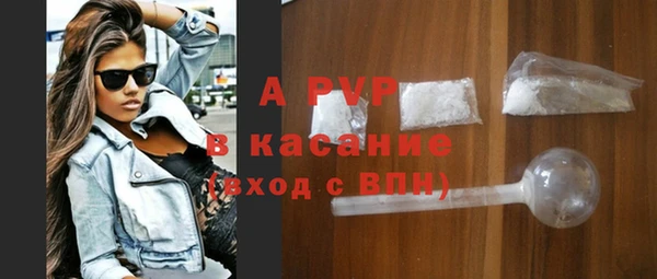 индика Аркадак