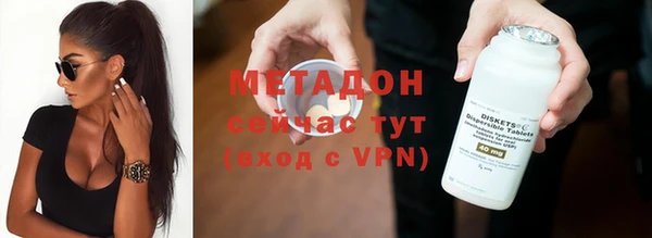 индика Аркадак