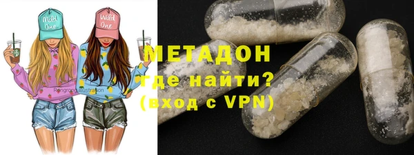индика Аркадак