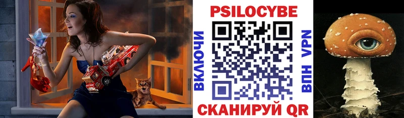 omg зеркало  Среднеколымск  Галлюциногенные грибы Psilocybine cubensis 